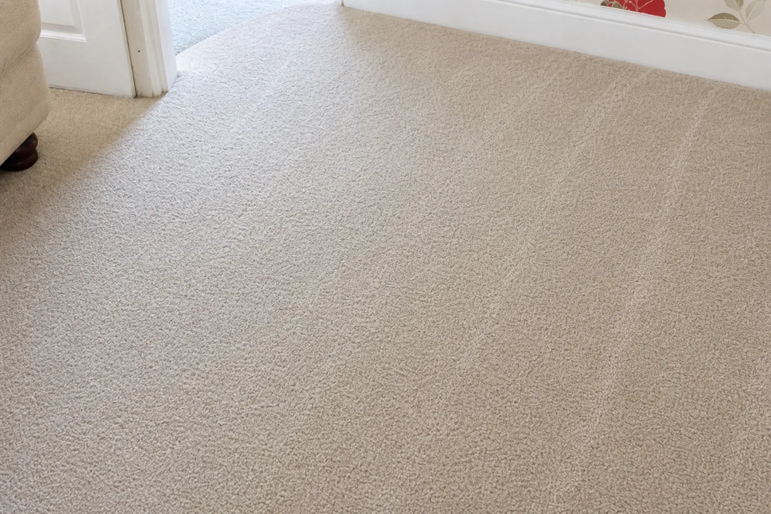 Bright, fresh carpet after Simba Cleans carpet cleaning
